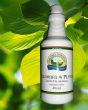 Chloroﬁl z lucerny w płynie (475,6 ml)