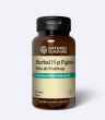 HP FIGHTER - na Helicobacter pylori - wrzody żołądka, choroby przewodu pokarmowego, kwasy żołądkowe