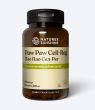 Paw Paw Cell-Reg (melonowiec)