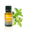Essential Oil - Peppermint