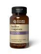 BACILLUS COAGULANS (90 kaps.)