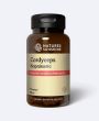 Cordyceps