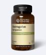 Astragalus