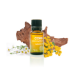 Essential Oil - Core